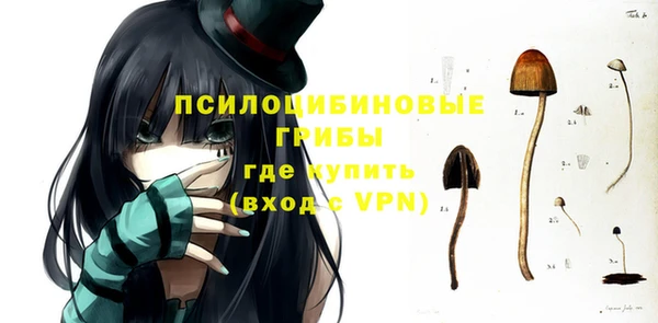 Альфа ПВП Арсеньев